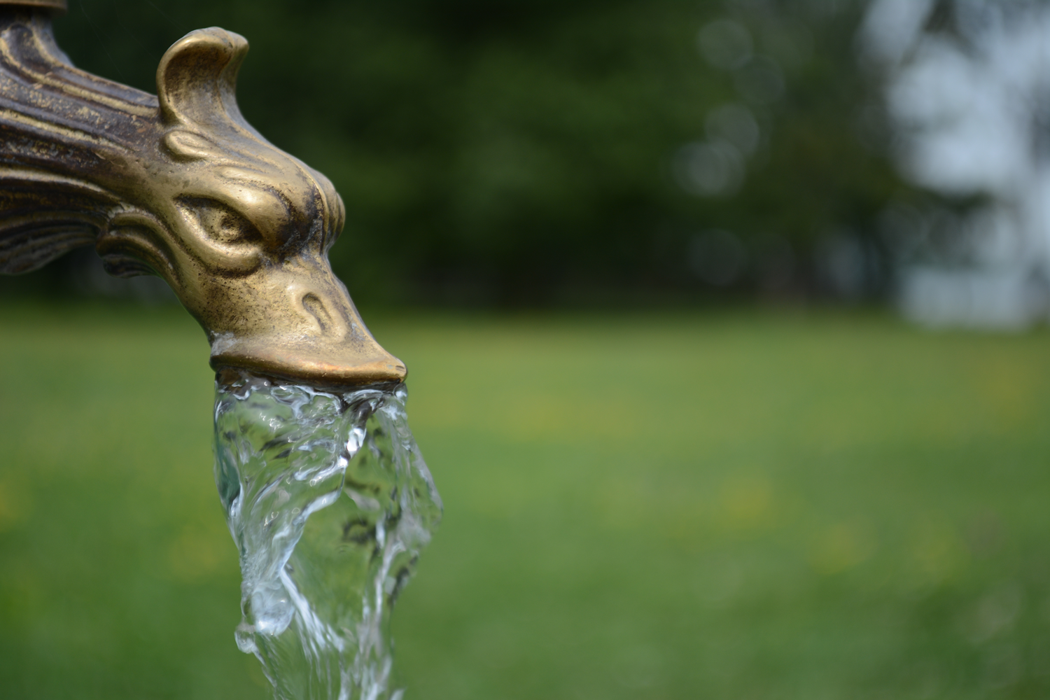 Regenwassernutzung